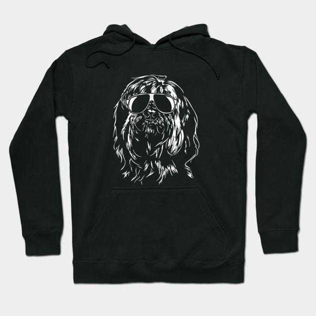 Funny Briard with sunglasses Hoodie by wilsigns